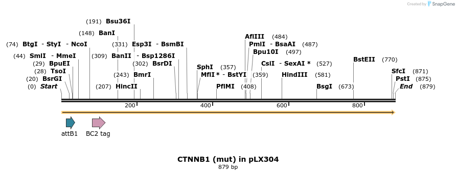 59250_map