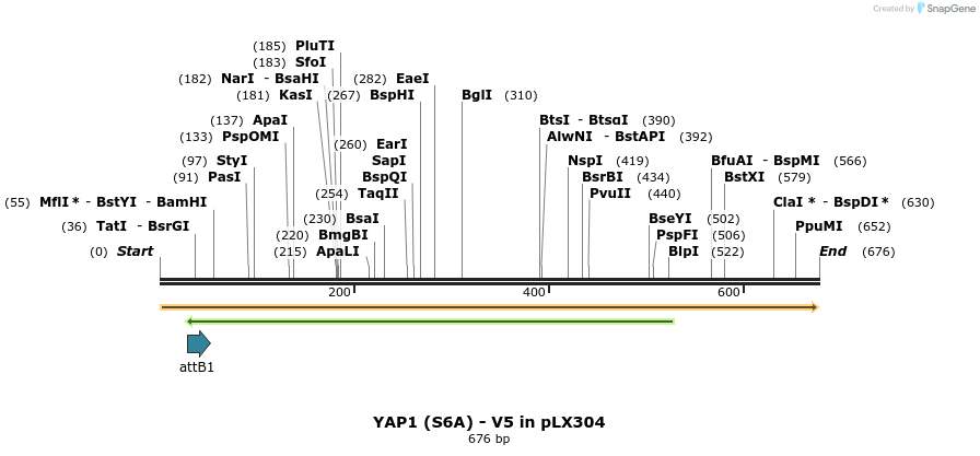 59251_map
