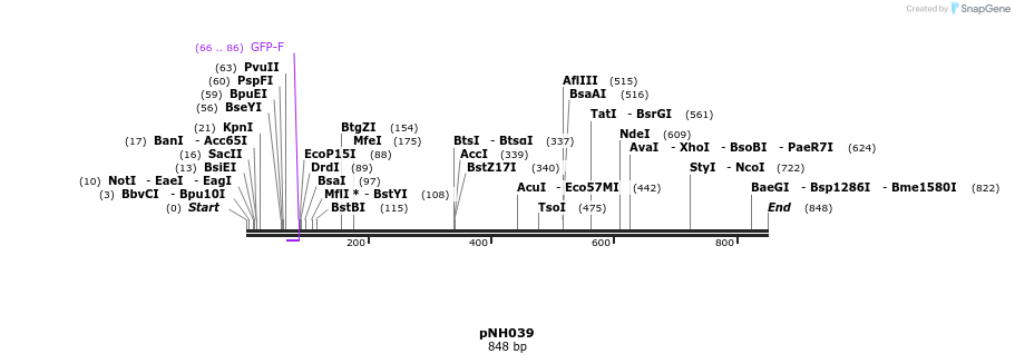 59252_map