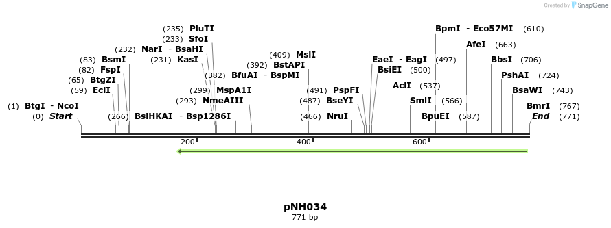 59253_map