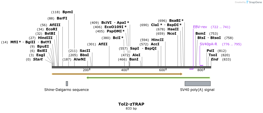 59263_map
