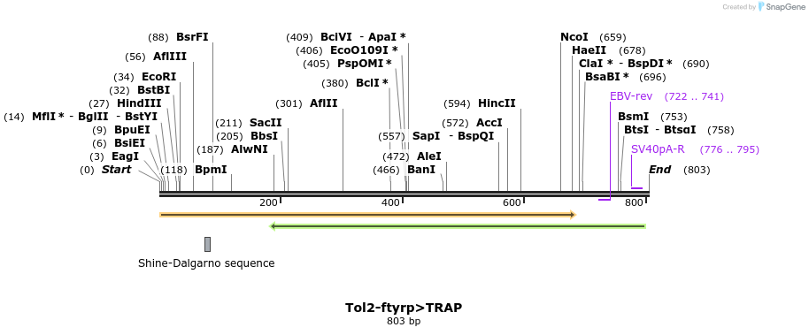 59264_map