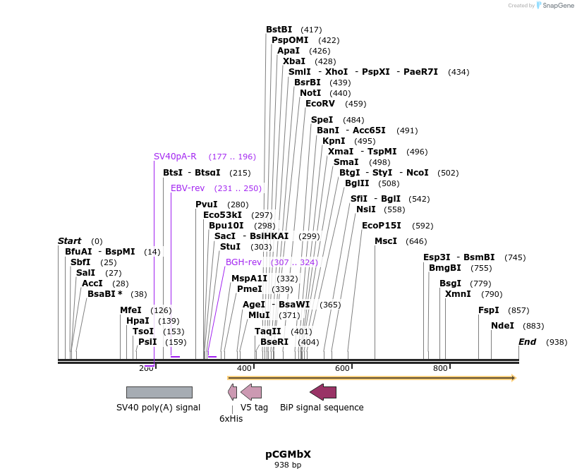 59267_map