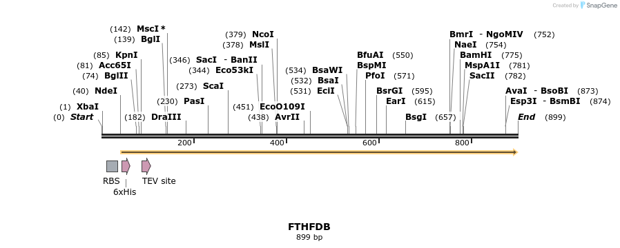 59279_map