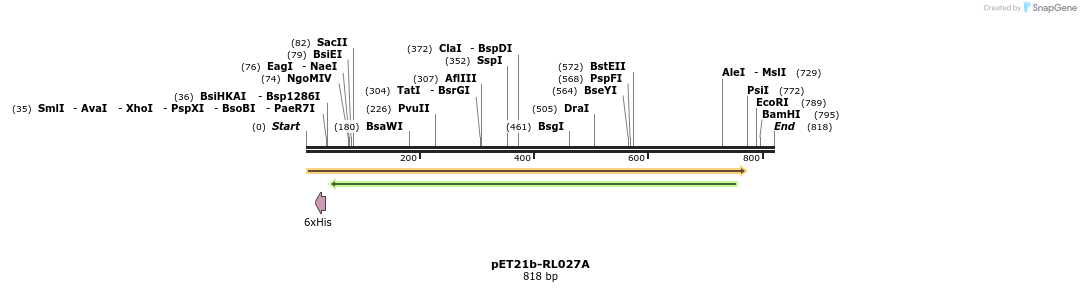59281_map