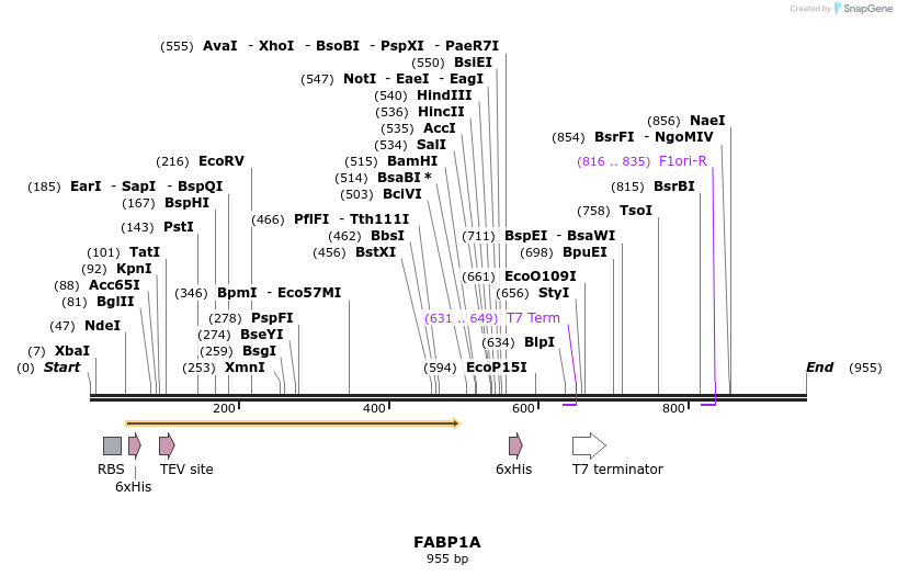 59286_map