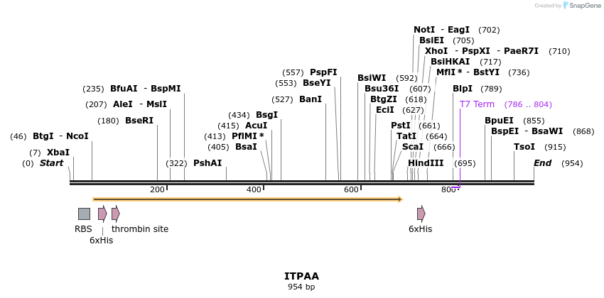 59287_map