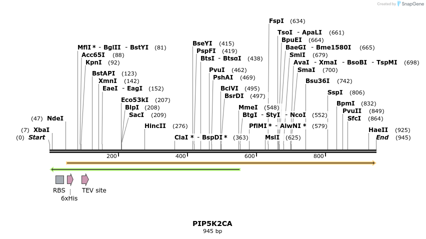 59295_map