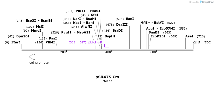 59300_map