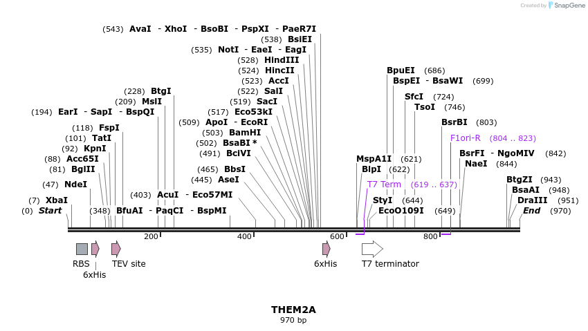 59303_map