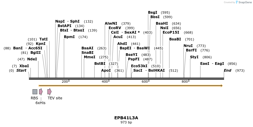 59304_map