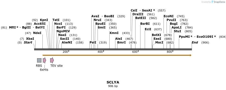 59305_map