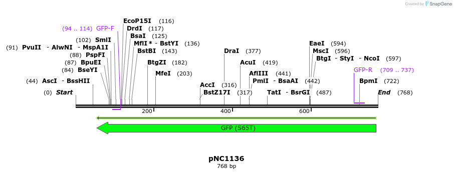 59333_map