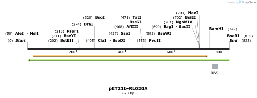59334_map