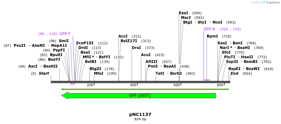 59336_map