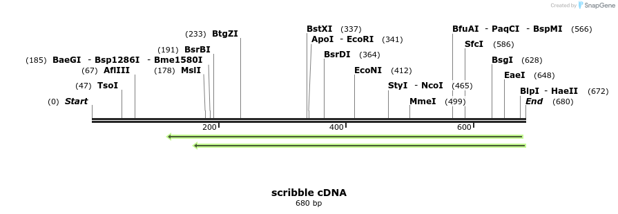 59355_map