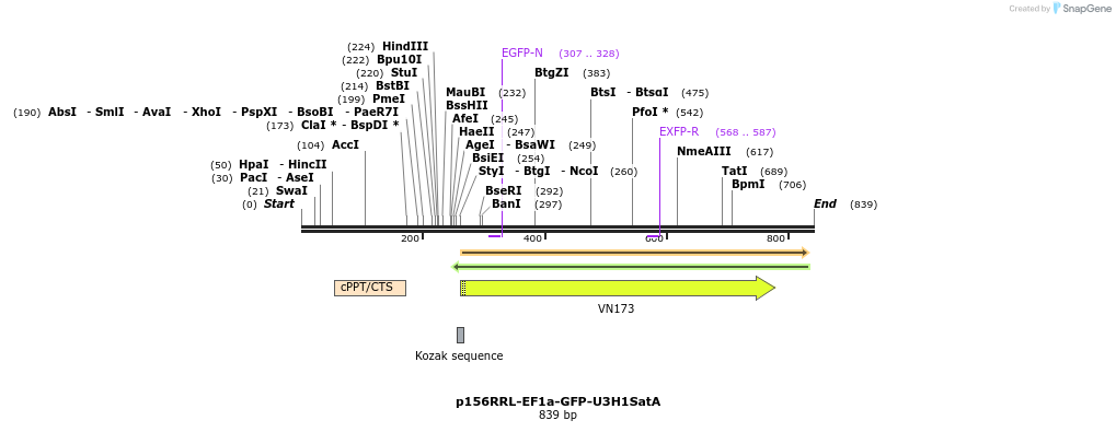 59361_map