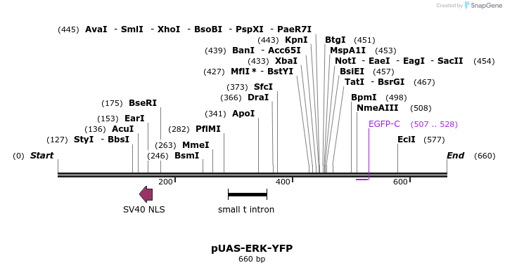 59362_map