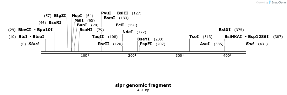 59364_map