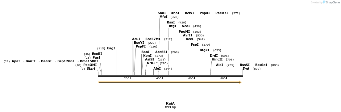 59373_map