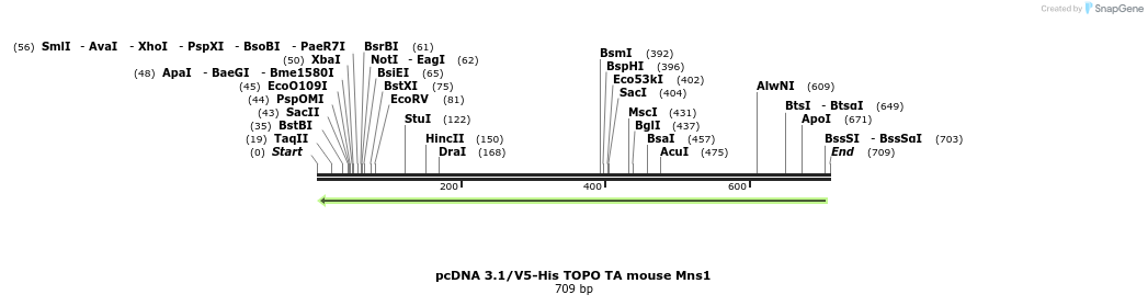 59375_map
