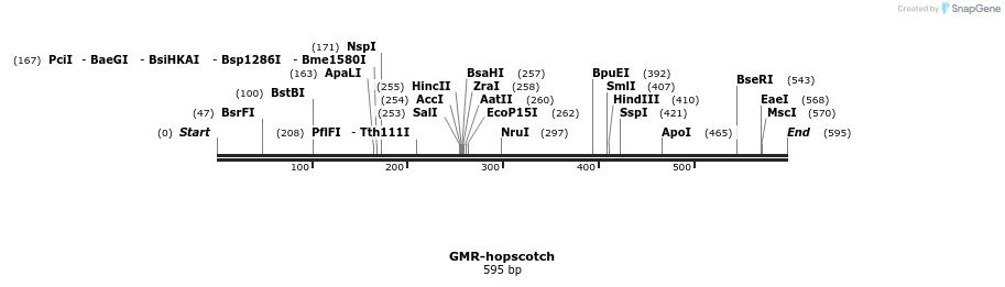 59376_map
