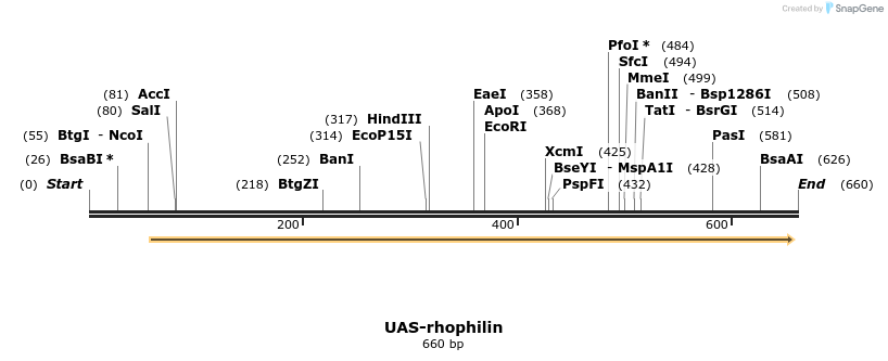 59378_map