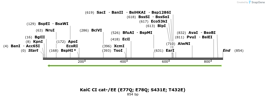 59379_map