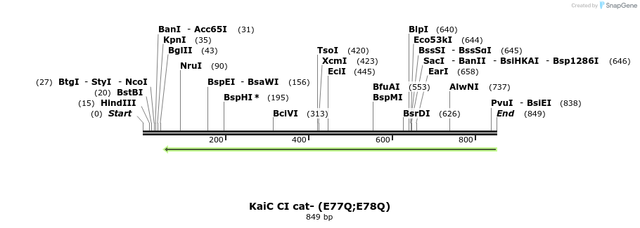 59383_map
