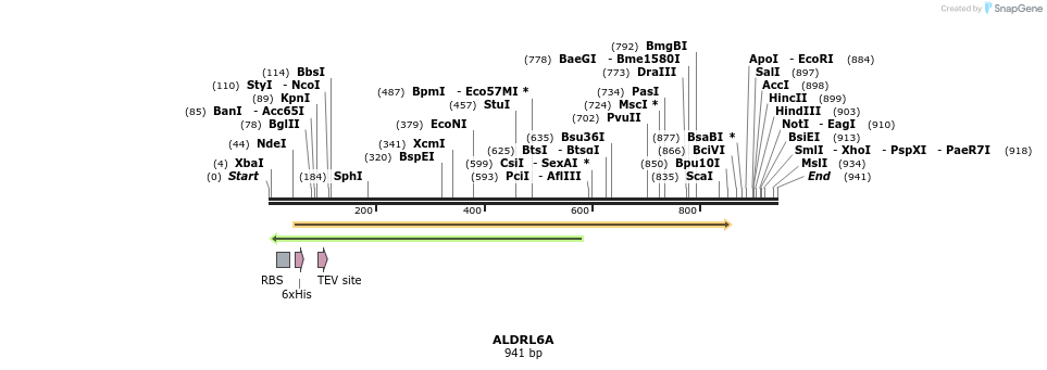 59388_map