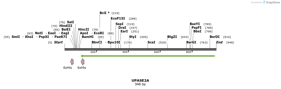 59403_map