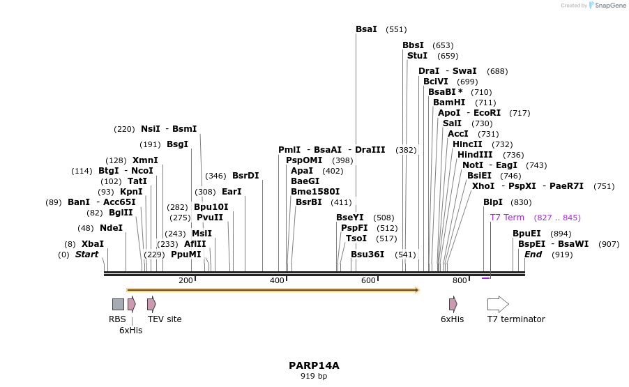 59406_map