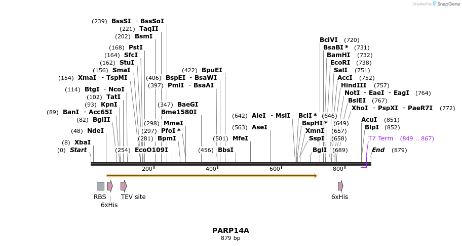 59409_map