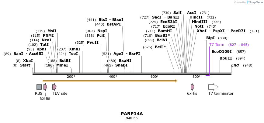 59413_map