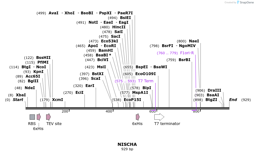 59416_map