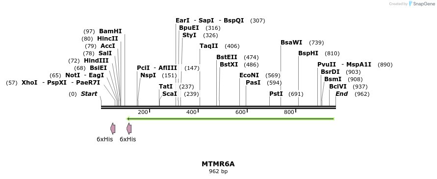 59417_map