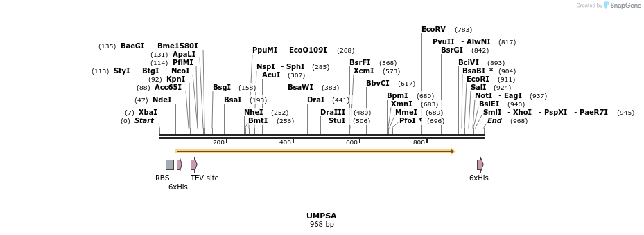 59421_map