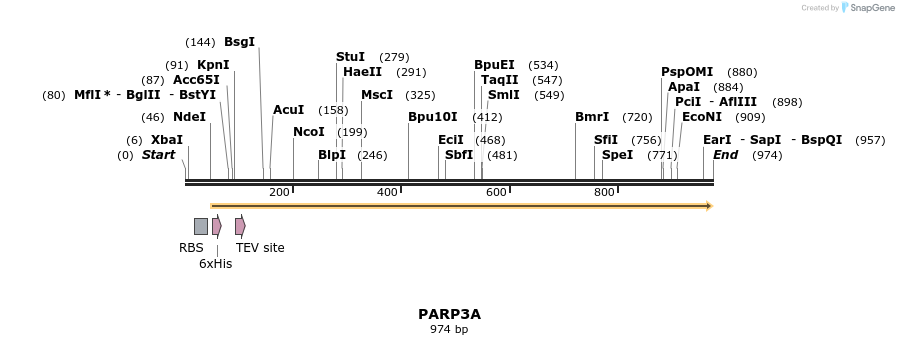 59426_map