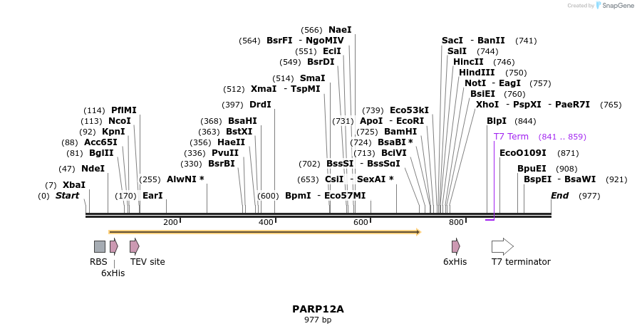 59429_map