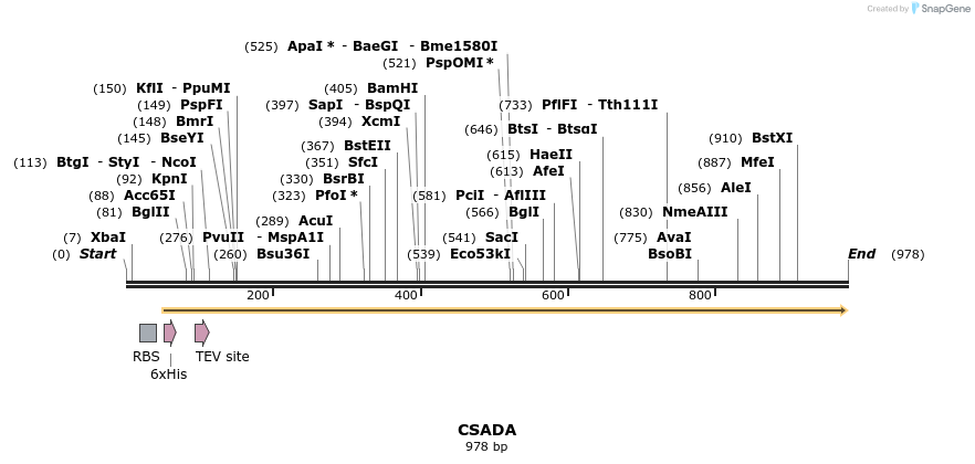 59432_map