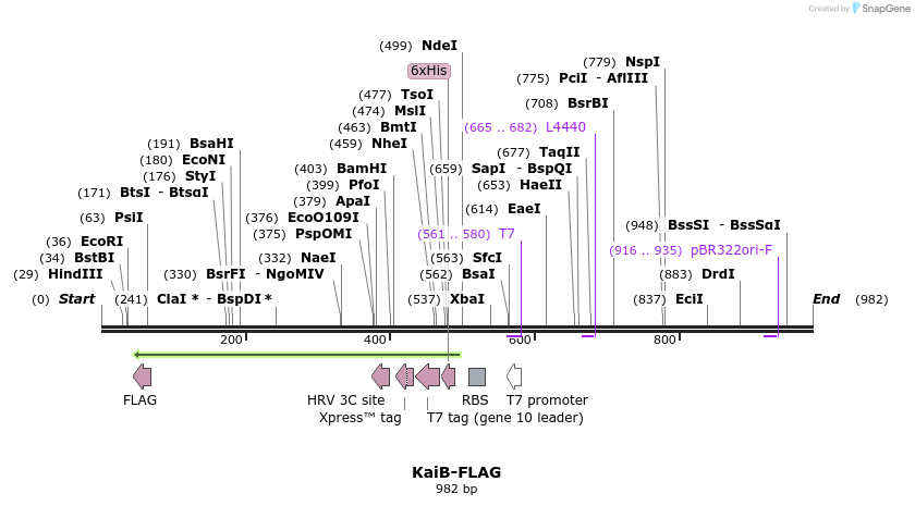 59441_map