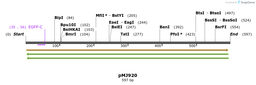 59445_map