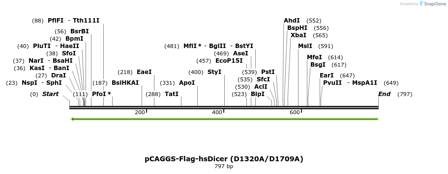 59456_map