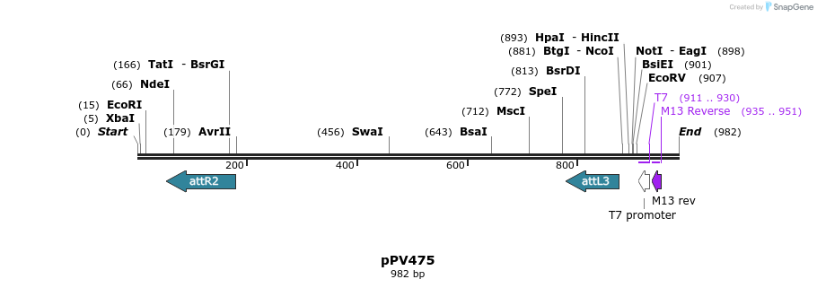 59464_map