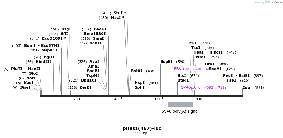 59471_map
