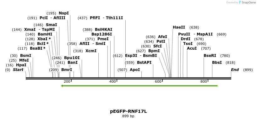 59512_map