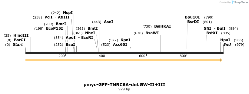 59519_map