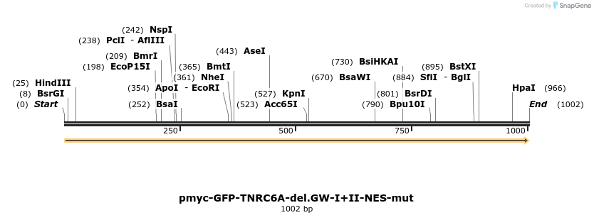59521_map