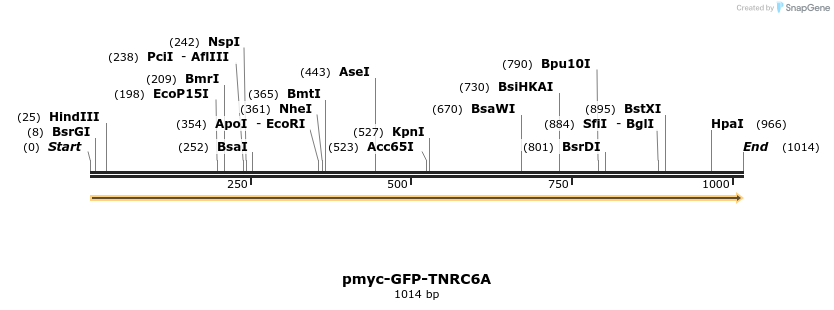 59523_map