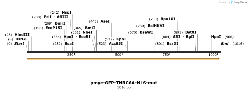 59524_map